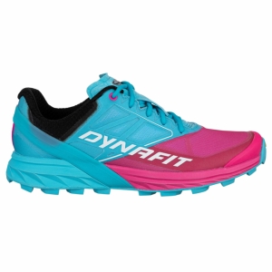 Dynafit Alpine Vrouw