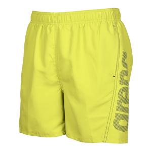 Arena Fundamentals Logo Boxer Men 