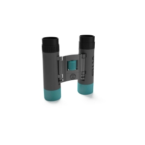 Silva Binocular Pocket 10X Gemischt Grau