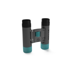 Silva Binocular Pocket 10X Gris