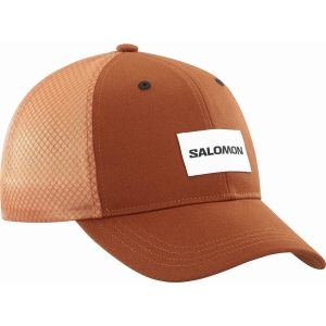 Salomon Trucker Curved Cap Braun