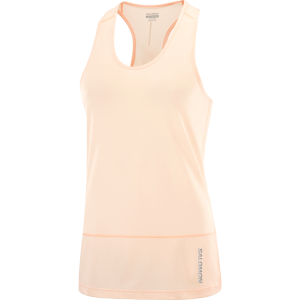 Salomon Cross Run Vrouw Beige