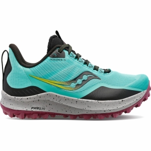 SAUCONY PEREGRINE 12 - LePape