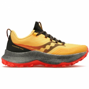 SAUCONY ENDORPHIN TRAIL - LePape