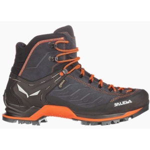 Salewa Mountain Trainer Mid Gore-Tex Mannen Grijs