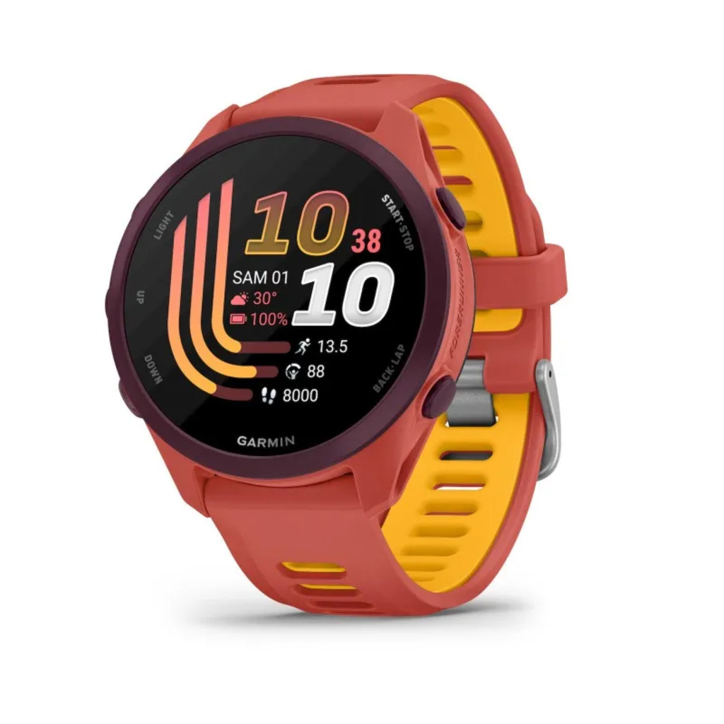 Forerunner 170 Music 349$