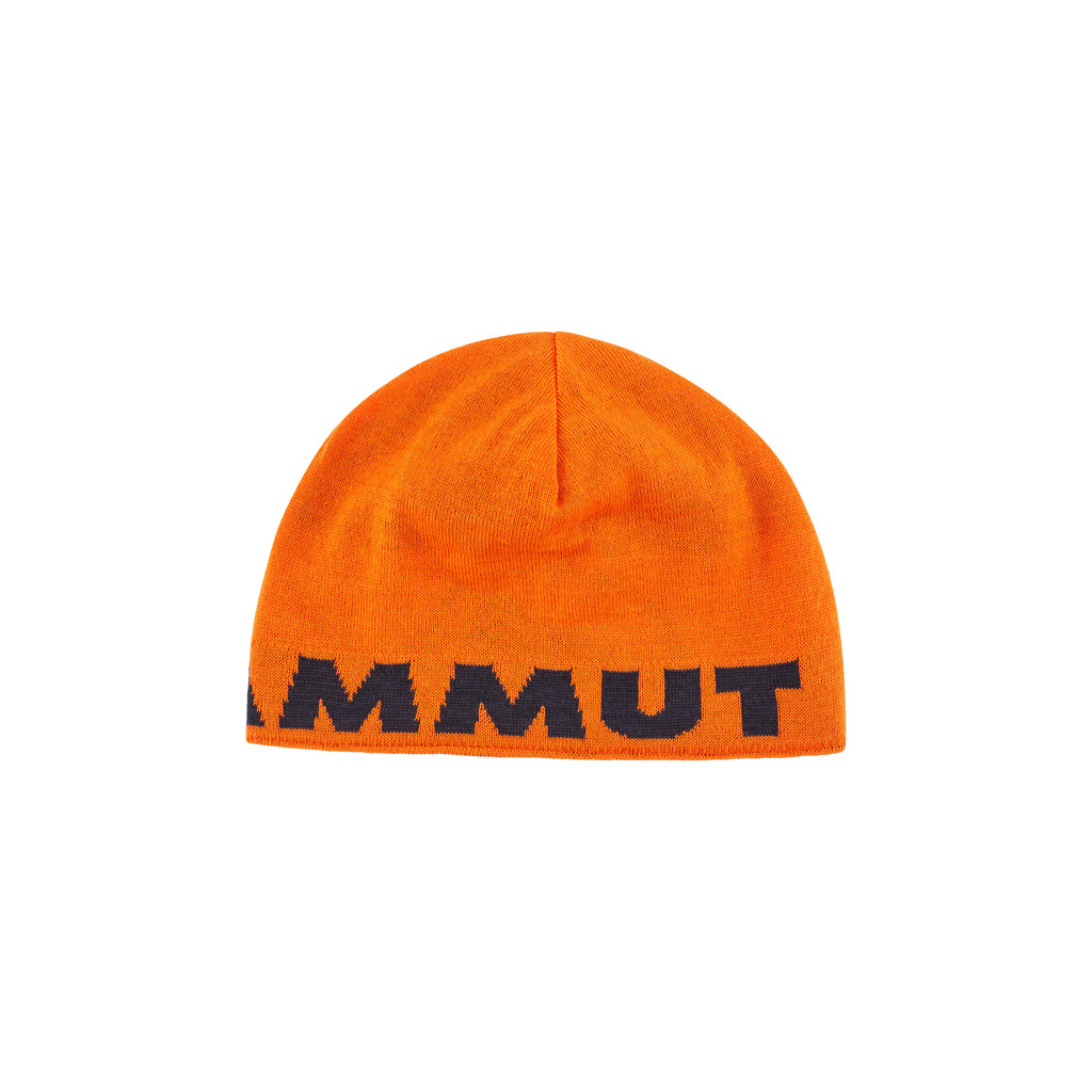 Mammut Mammut Logo Beanie 44 €