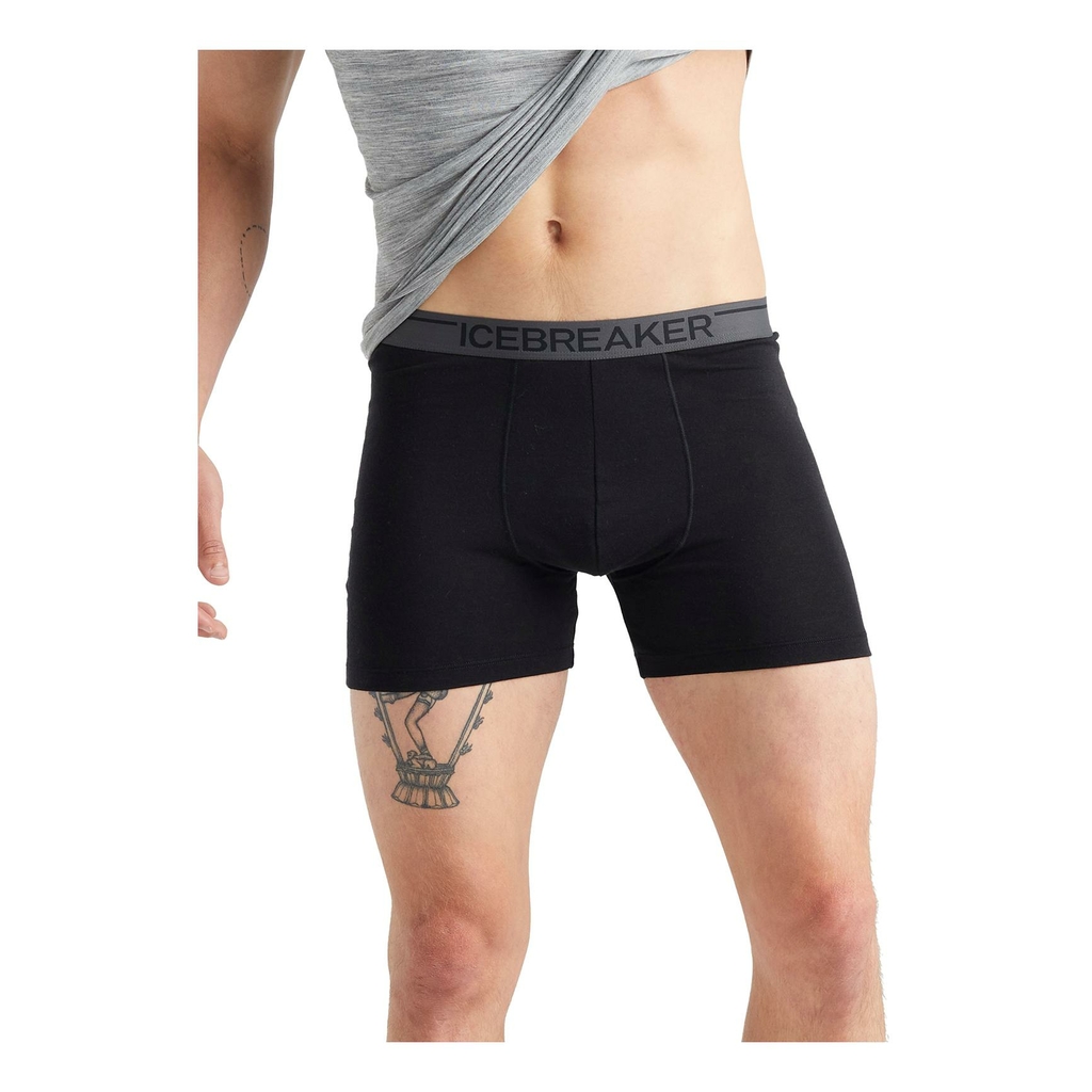 Icebreaker Men's Anatomica Briefs, Black/Monsoon, Small : :  Clothing, Shoes & Accessories