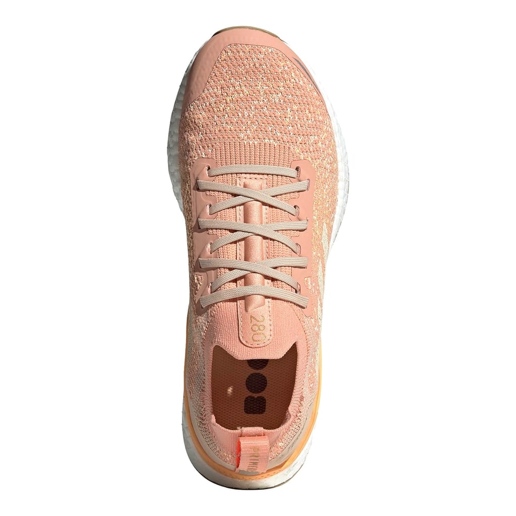 Adidas Terrex Two Ultra Primeblue Nude Lepape
