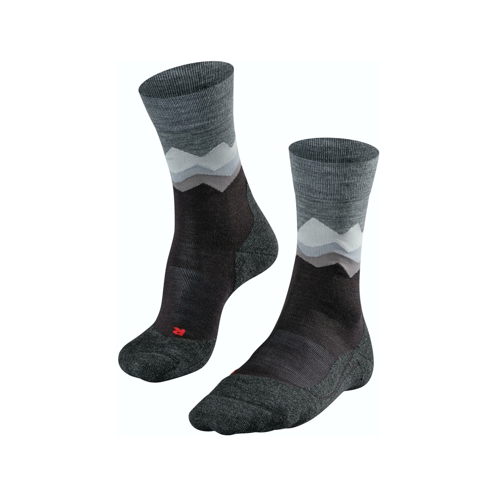 Falke Gris Tk2 Crest Man Gray