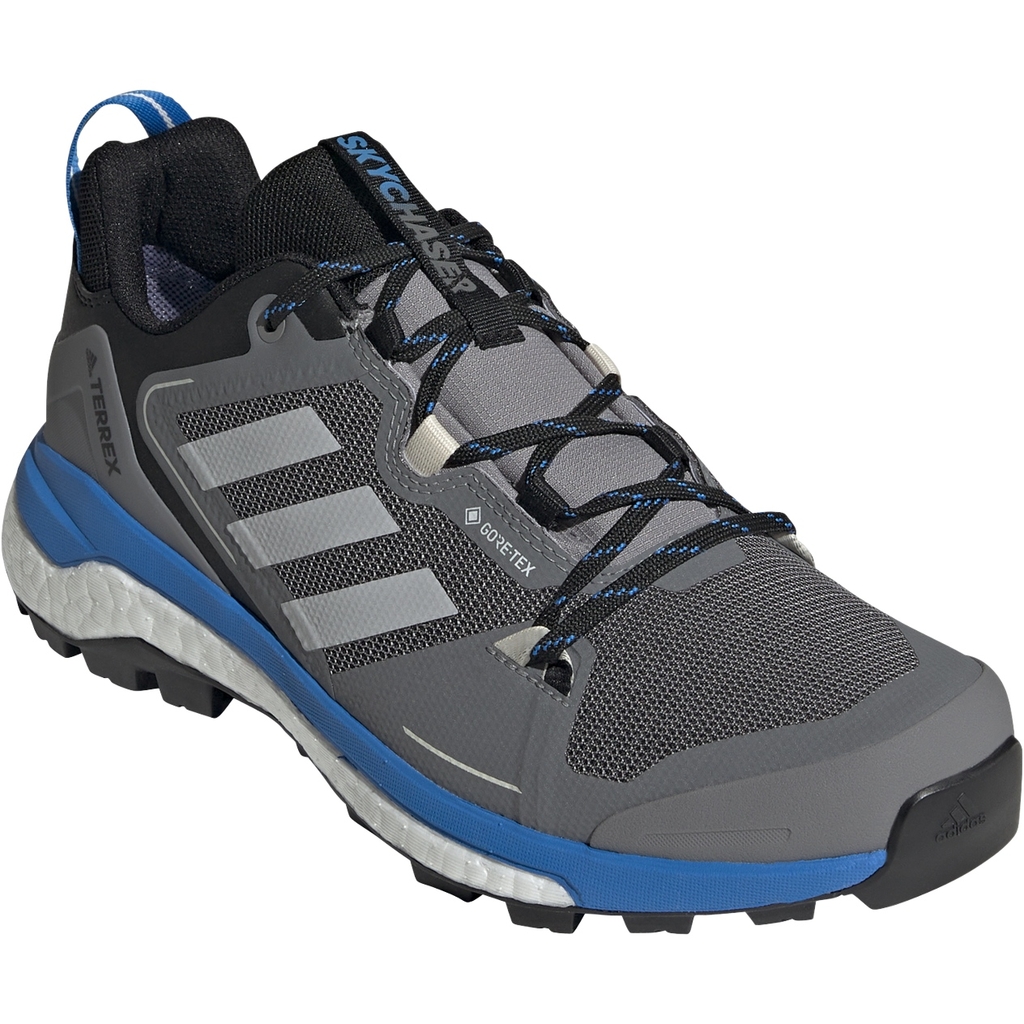 Adidas Terrex Skychaser 2 Gore Tex Grethr Gretwo Blurus Pope